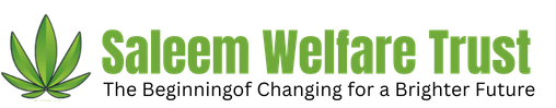 saleemwelfaretrust.org